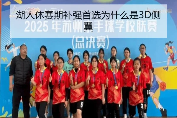 湖人休赛期补强首选为什么是3D侧翼